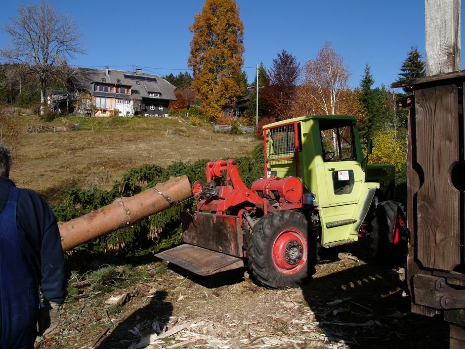 B&auml;ume werden gef&auml;llt