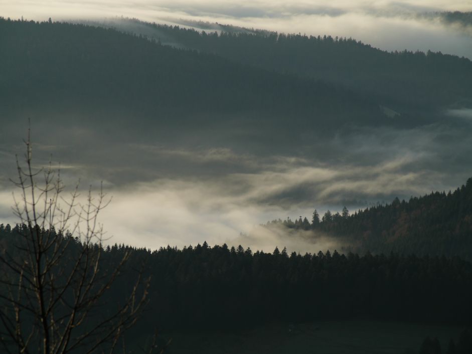 Blick vom Hochkopf auf Todtmoos