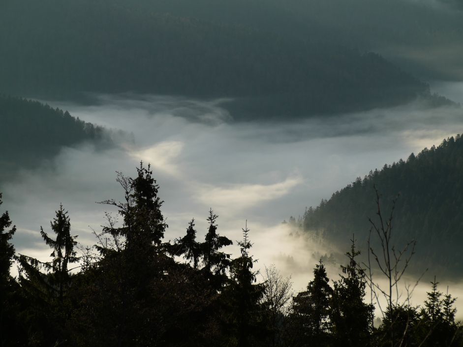 Blick vom Hochkopf auf Todtmoos
