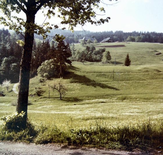 Das Marzellenhaus von R&uuml;tte aus