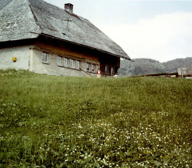 S&uuml;dseite mit neuen Fenstern